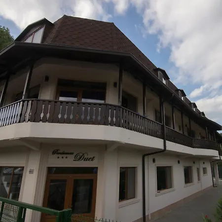 Pensiunea Duet Guest house 3*
