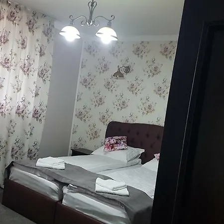 Pensiunea Duet Πανσιόν 3*